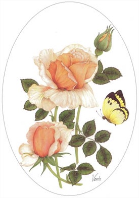 Oval, Yellow Roses with Butterfly